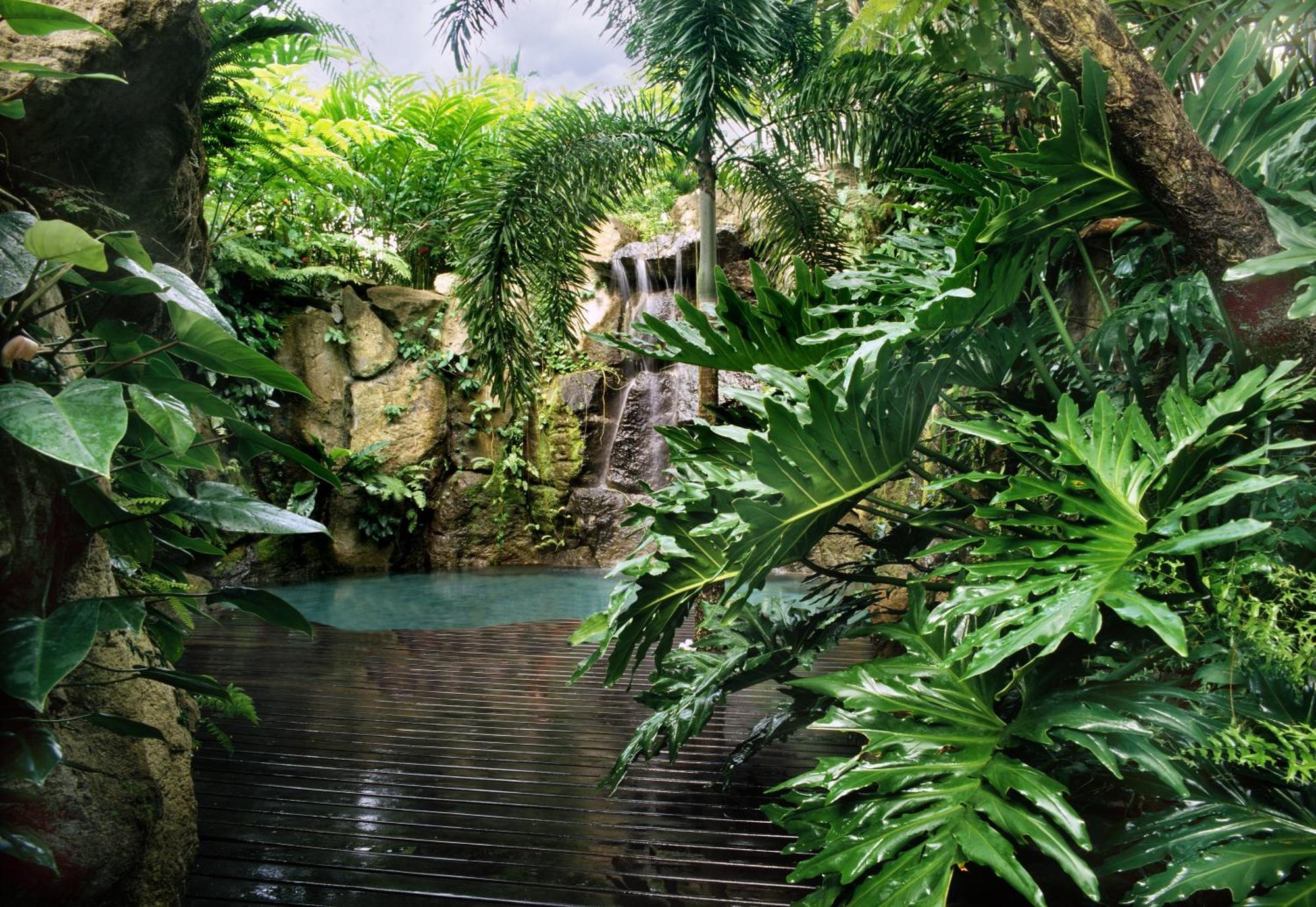 The Farm At San Benito Hotel Lipa City Buitenkant foto